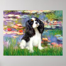 Cavalier (Tri Colored 5) - Lilies 2 Posters