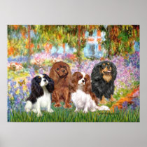Cavaliers (4) - Garden Posters