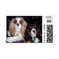 Cavaliers postage
