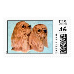 Cavaliers Postage Stamp