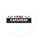 CAVANESE stickers