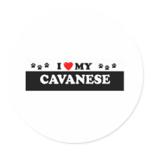 CAVANESE stickers
