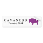 election, vote, civic, engagement, cavaness,
