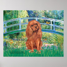 Cavavlier King Charles (Ruby7) - Lily Pond Bridge Poster