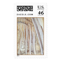 Cave Draperies postage