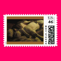 cave filia canem stamps