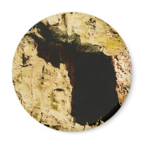 CAVE magnets