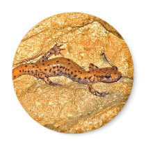 Cave Salamander Refrigerator Magnet