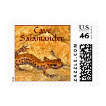 Cave Salamander