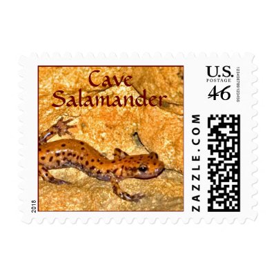 Cave Salamander Stamp by JaguarPhotos