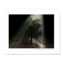 Cave Tree posters