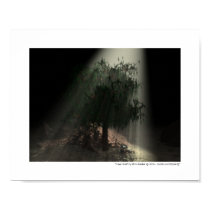 Cave Tree posters