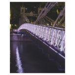 cavenagh bridge, singapore custom flyer