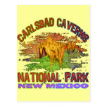 Cavernas parque nacional, New México de Carlsbad Tarjetas Postales