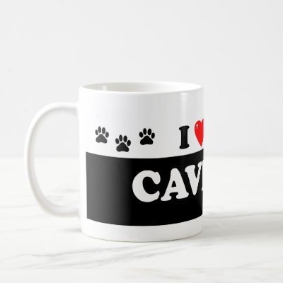 cavestie puppy cavestie puppy