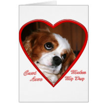 Cavi Love Card