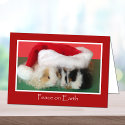 Cavy Christmas Guinea Pig Card by GuineaPigShop Cavy Christmas Guinea Pig Card