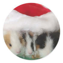 Cavy Christmas Guinea Pig Stickers by GuineaPigShop Cavy Christmas Guinea Pig Stickers
