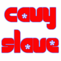 cavyslave PIN foto-skulpturen