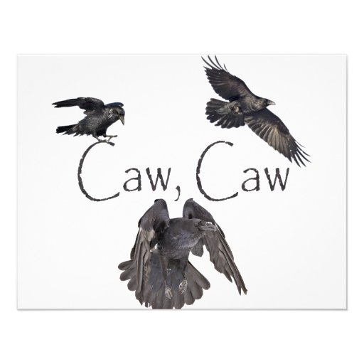 Caw Caw Invite