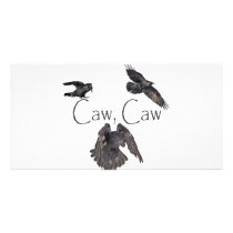 Caw Caw Photo Card