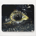 Cayman Eyes Mousepad
