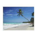 cayman, island, beach