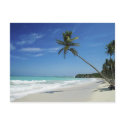 Cayman Island Beach postcards