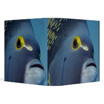 Cayman Islands, French Angelfish Pomacanthus Vinyl Binder
