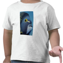 Cayman Islands, French Angelfish Pomacanthus T Shirt