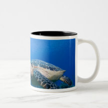 Cayman Islands, Little Cayman Island, Underwater 2 Coffee Mugs