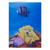 Cayman Treasures-angelfishwithfirecoral cards