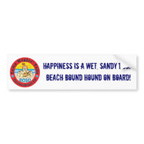 Cayucos '10 Bumper Sticker