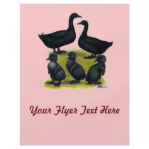 Cayuga Duck Family Flyer Design
