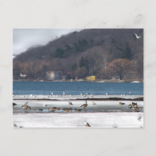 Cayuga Lake in Winter postcard