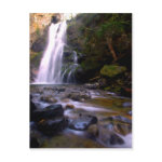 Cayuse Creek Post Cards