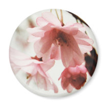 CB- Cherry Blossom Magnet