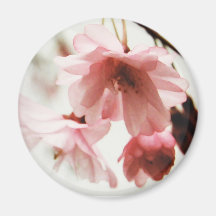 CB- Cherry Blossom Magnet