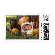 cbpumpkin postage by 4labradors cbpumpkin postage