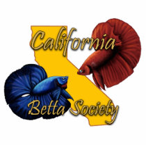 CBS Magnet Acrylic Cut Outs