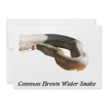 CBWS Invitations