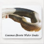 CBWS Mousepad