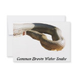 CBWS RSVP PERSONALIZED INVITATION