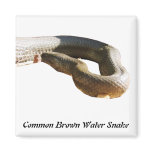 CBWS Square Magnet