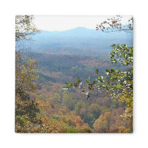 CC- Mountain View Magnet