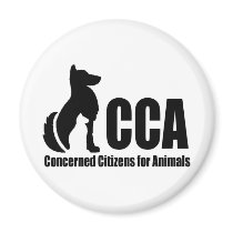 CCA Logo magnets