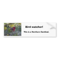 cd2 012, Bird watcher!, This is a Northern Card... bumper stickers by Eye4birds cd2 012, Bird watcher!, This is a Northern Card... bumper stickers