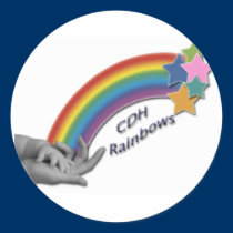 CDH Rainbows Large Sticker Sheet stickers