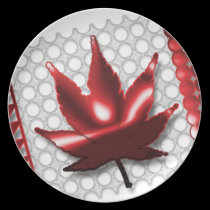 CDN FLAG plates