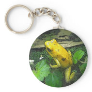 CE- Yellow Tree Frog Keychain keychain